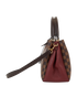 Medium Brittany, side view